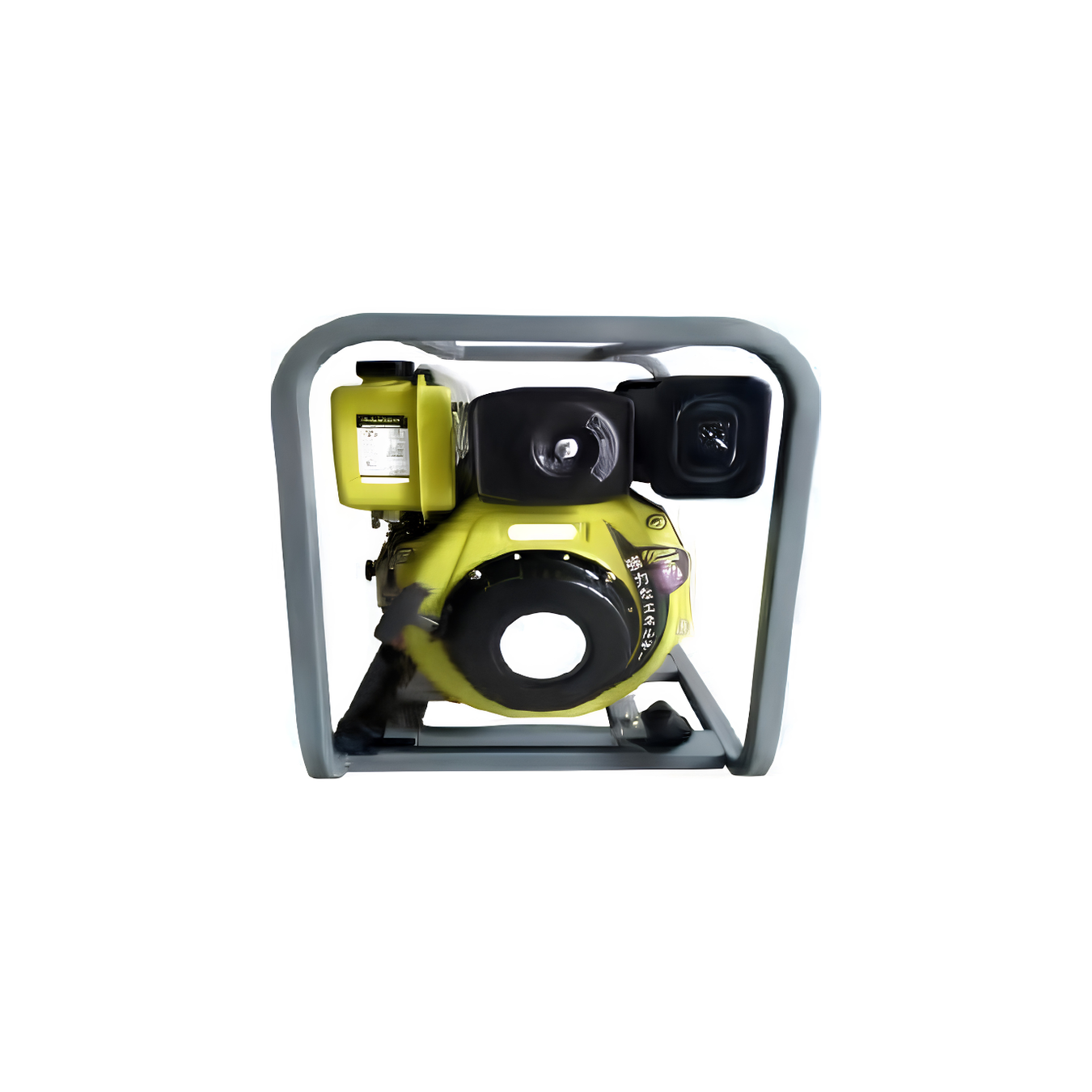 Diesel Engine Pump