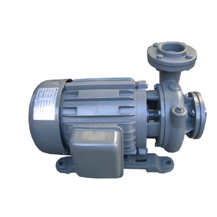 Evergush Close-Coupled Vortex Centrifugal Pump - Industrial Series