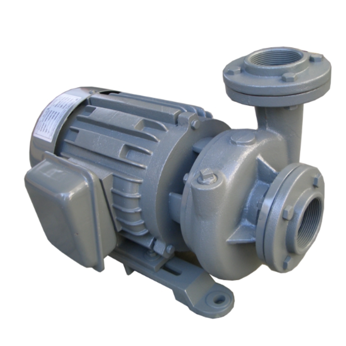 Evergush Close-Coupled Vortex Centrifugal Pump - Industrial Series