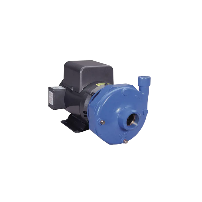 Goulds Centrifugal Pump 3656