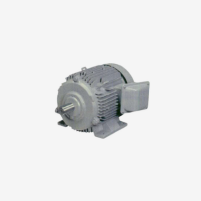 Hitachi Electric Induction Motors-Totally Enclosed Fan Cooled