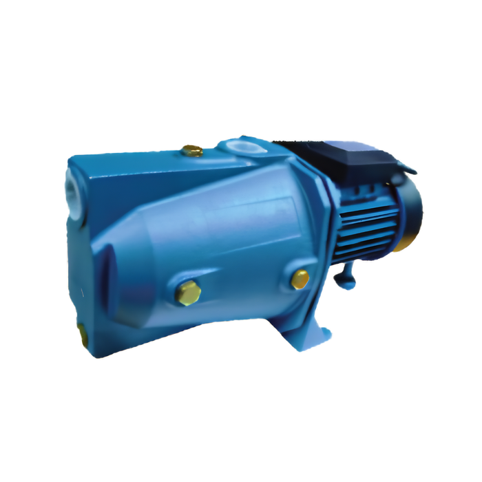 Hoover Shallow Well Pump