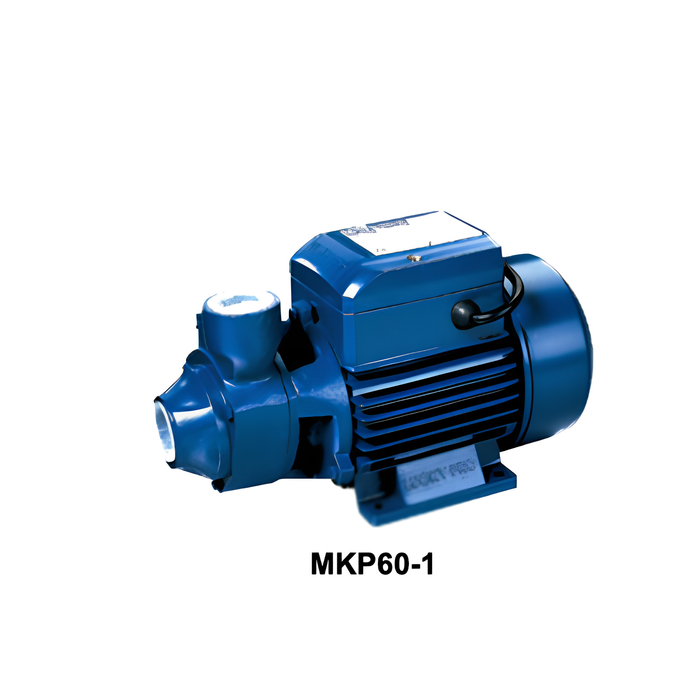 Luckypro 1/2HP Peripheral Pump MKP60-1