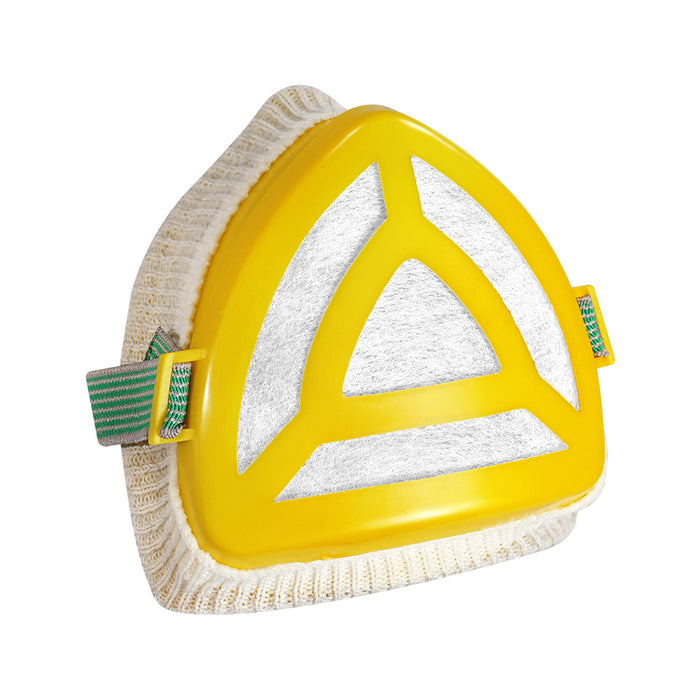 Blue Eagle Dust Mask With Filter NP22