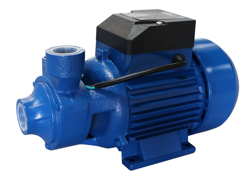 Shinsetsu 1HP Peripheral Pump SPQB-80