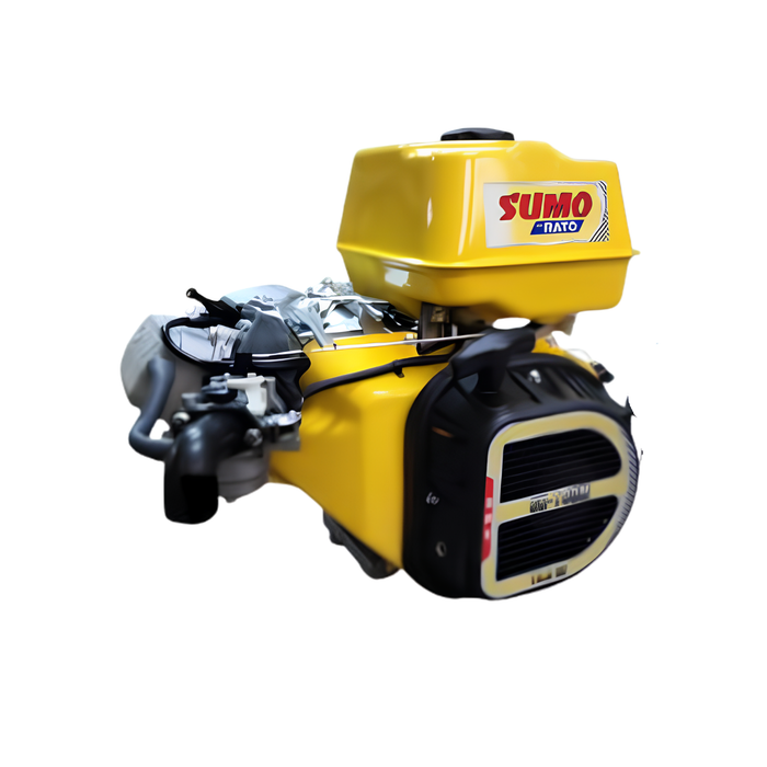 Sumo By Rato 19HP Gasoline Power Engine With Recoil Starter Series