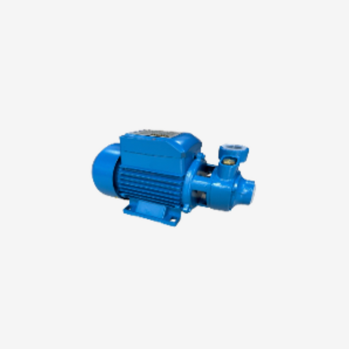 Yamato Peripheral Pump